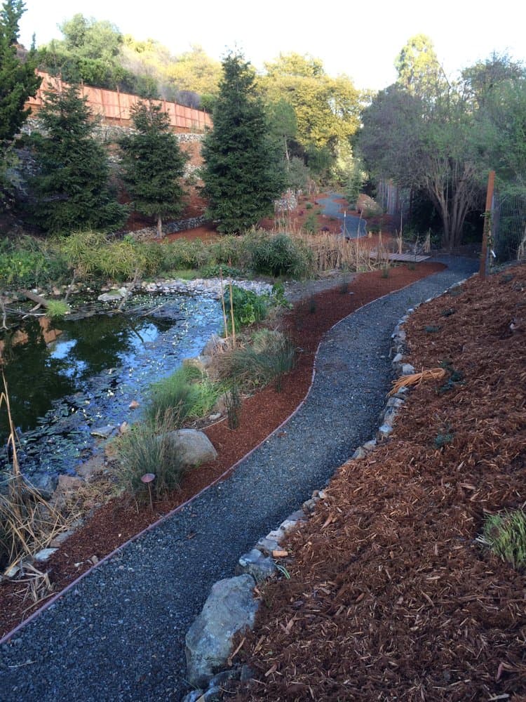 Terraced hillside garden with a koi pond, gravel pathway, and a stone retaining wall among evergreens