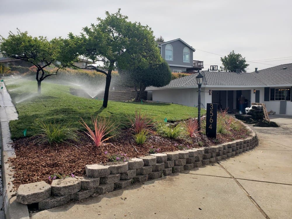 Freshly planted frontyard bed of drought-tolerant grasses and shrubs above a block retaining wall