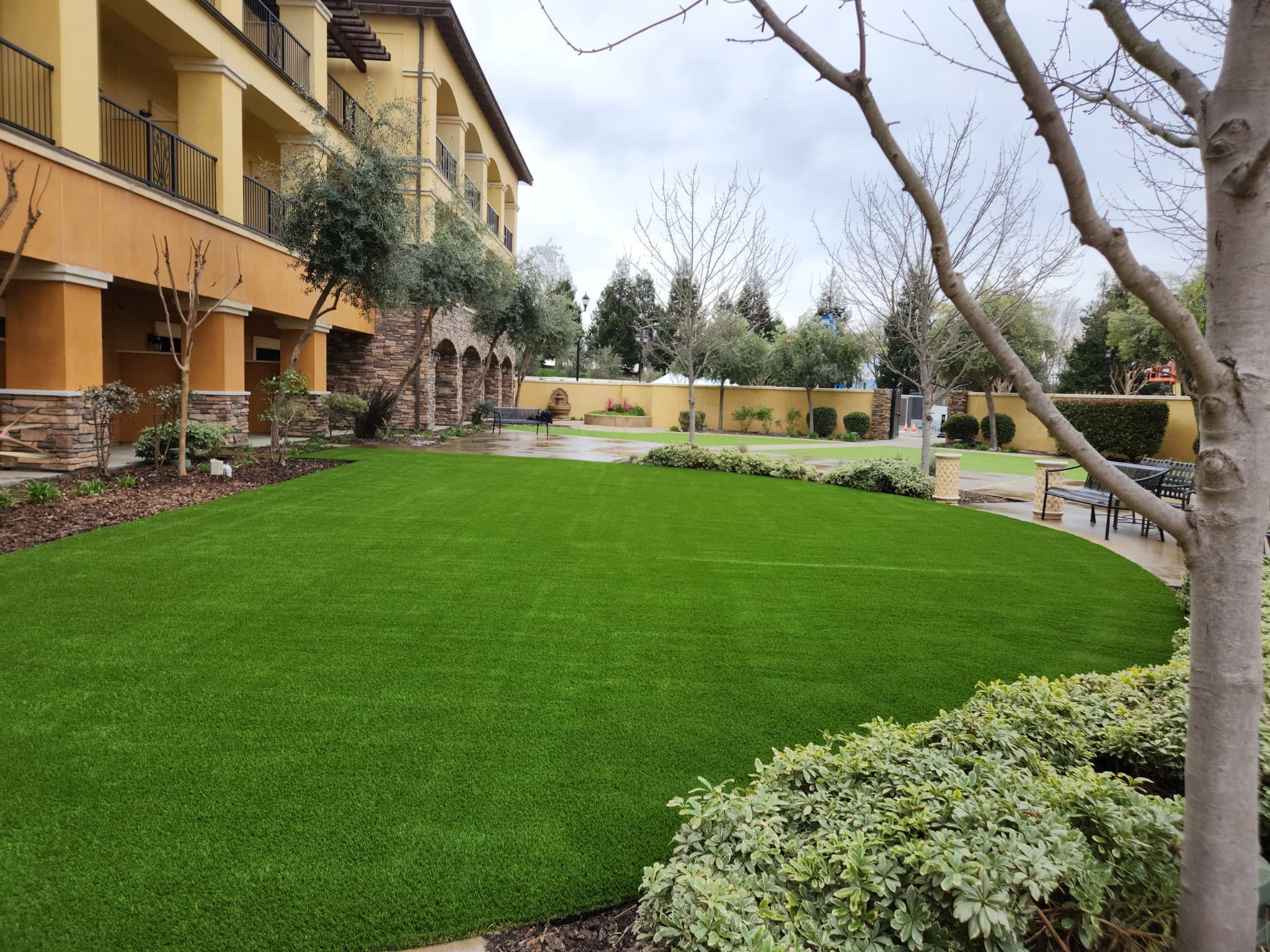 Large landscaped courtyard with a curved artificial turf lawn, garden beds, and benches