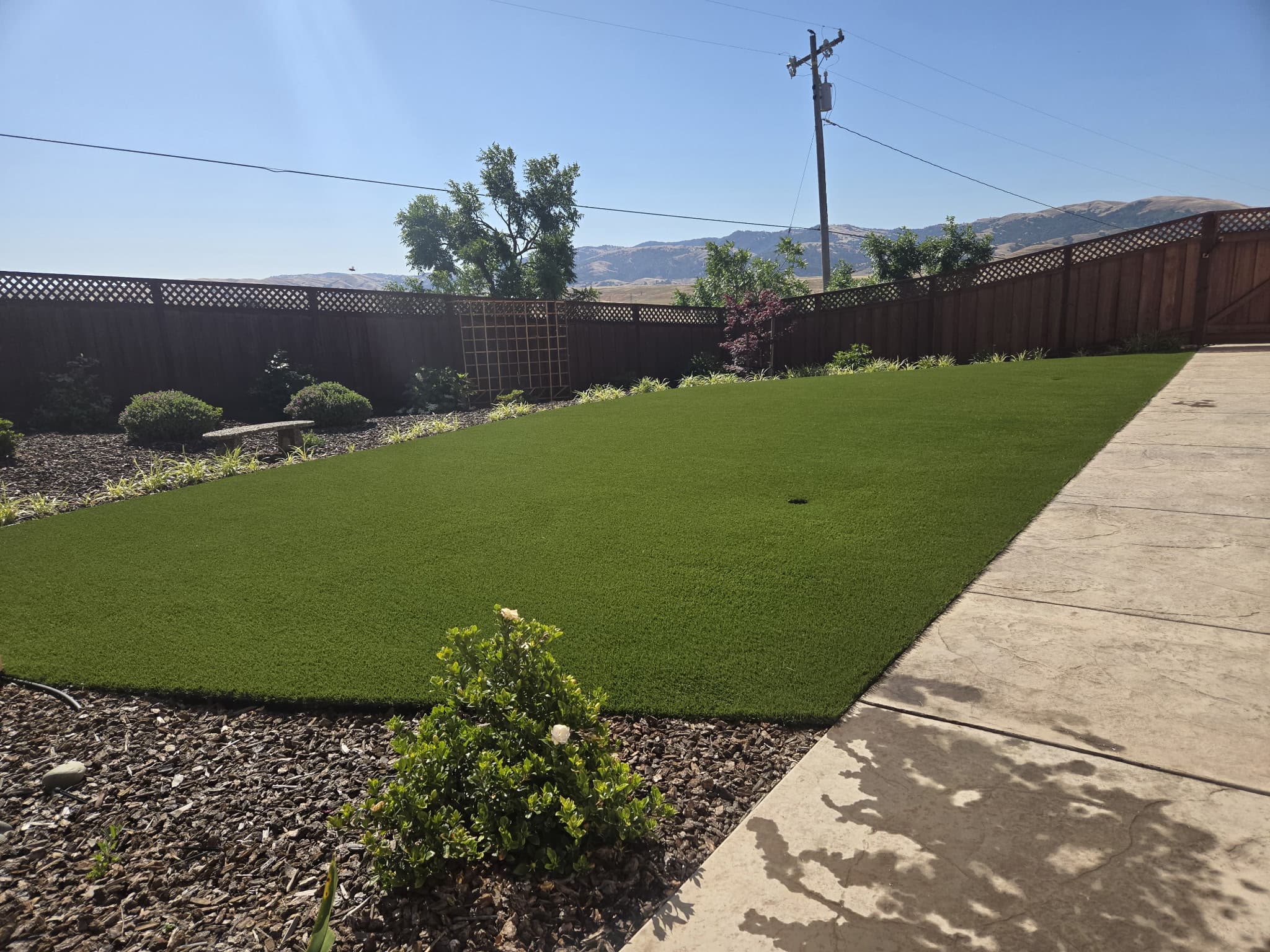 Foster City backyard with a level lawn, drainage-aware grading, and bay-tolerant planting beds